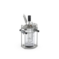 HABITAT ferment dw 2 double-wall, for 2 l