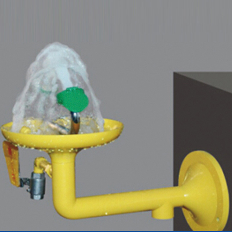 Removable Eye Washer Wall Mounted Eye Washer