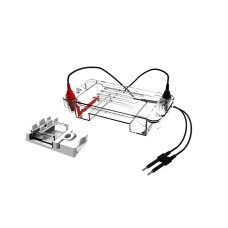 Horizontal Electrophoresis Tank BK-HET01