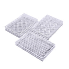 Cell Culture Plate
