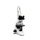 Student Portable Trinocular Electron Microscope Camera Digital