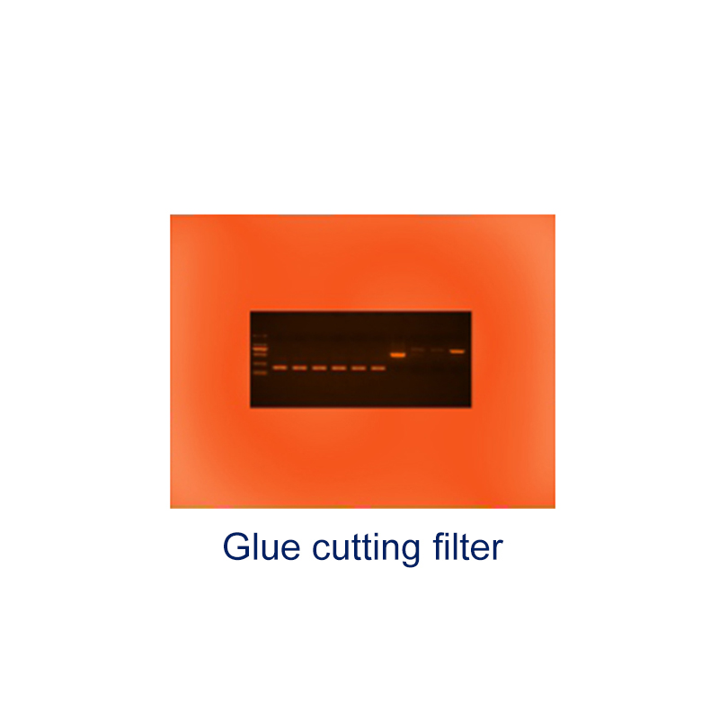 Automatic Gel Imaging and Analysis System BK-AG100