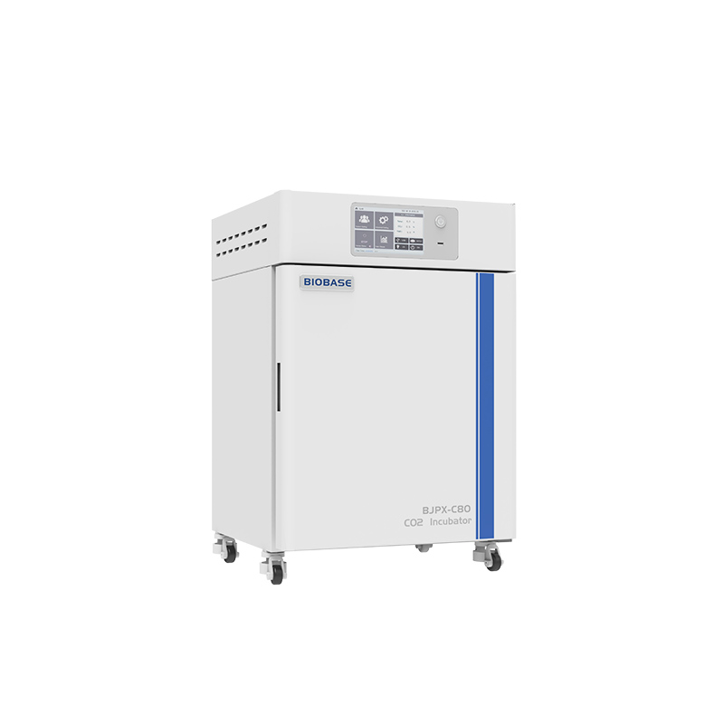 CO2-инкубатор BJPX-C50 BJPX-C80 BJPX-C160