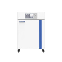 CO2-инкубатор BJPX-C50 BJPX-C80 BJPX-C160