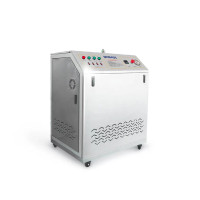 Simple Steam Generator BK-ZFQ-Y90