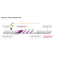 BIOBASE Covid-19 Lgm/lgG Ab Rapid Test