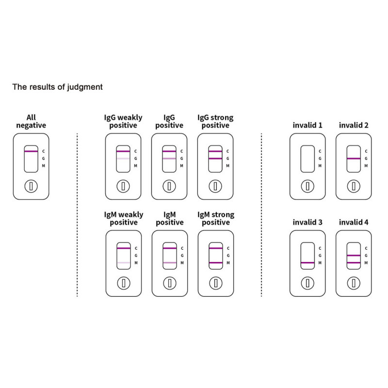BIOBASE Covid-19 Lgm/lgG Ab Rapid Test