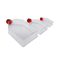 Cell Culture Flask